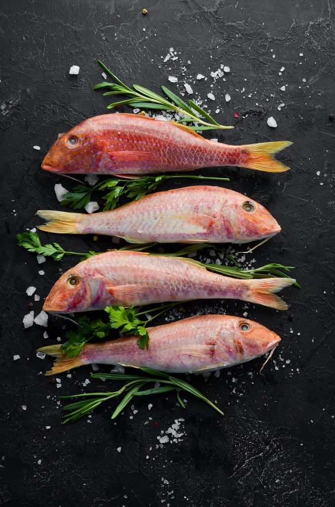 Red Mullet