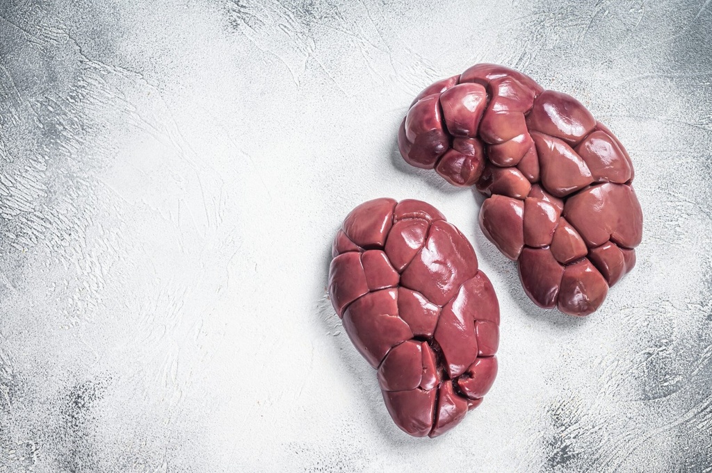 Beef Kidney